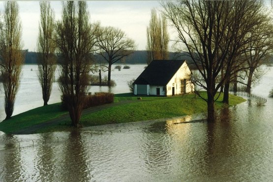 Rheinhochwasser am Wasswerk 1993